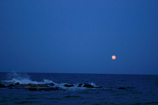 Illustration for article titled 19 Stunning Photos of The Year's Biggest, Most Beautiful Moon So Far